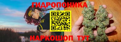 a pvp Усть-Илимск