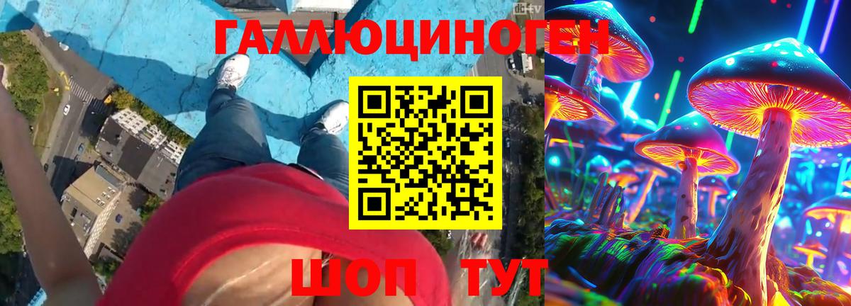 Псилоцибиновые грибы Psilocybe Назрань