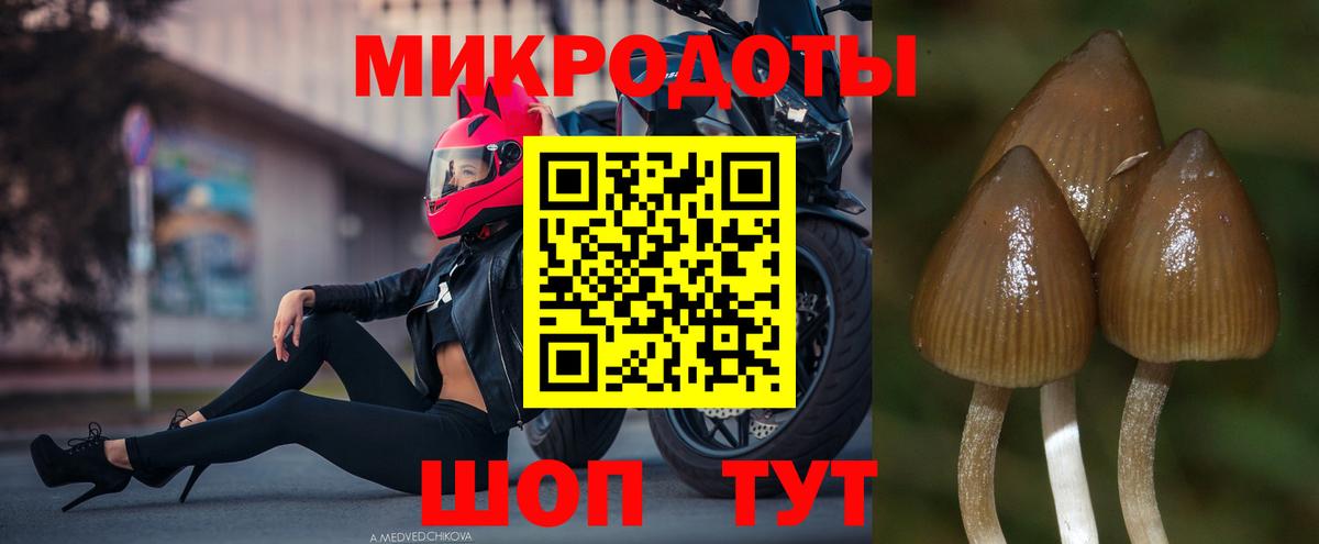 Галлюциногенные грибы прущие грибы  Галлюциногенные грибы Magic Shrooms  Назрань  Вход с VPN 
